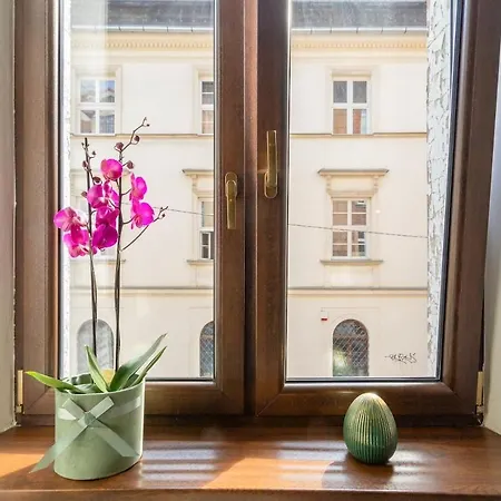 Cherish Bloom * Krakow