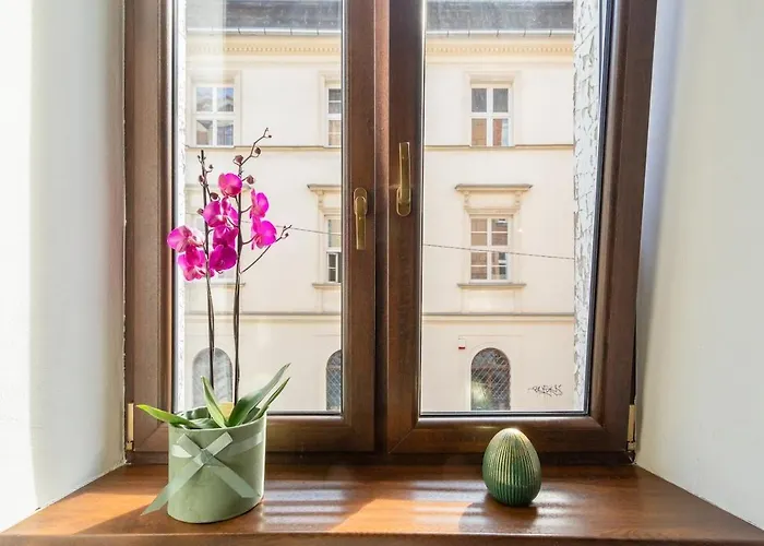 Cherish Bloom * Krakow